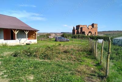 Casă cu Teren 1500 Mp în Dobromir - 1