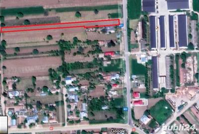 Teren de 2400 mp, în Chirnogi - 2