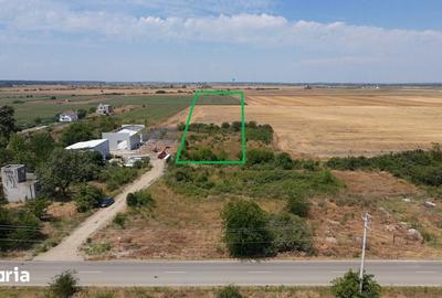 Teren de 15000 mp, în Clinceni