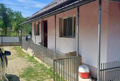 Casă cu 2 camere cu Teren 2200 Mp în Domnin - 6
