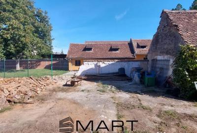 Casă cu 2 camere cu Canalizare în Turnișor - 3