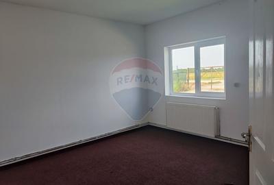 Hala Industriala, Parcul Industrial Bors 2, De Vanzare - 11