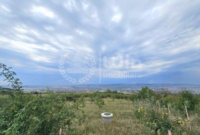 Teren intravilan 580mp | Front 23m | Cartier Iris | Zona Auchan! - 3