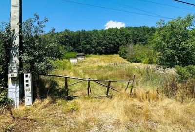 Spațiu comercial, în Enculești - 5