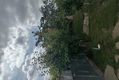 Vand casa in Ceamurlia de sus - 4