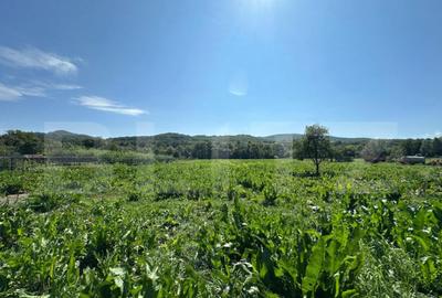 Casa saseasca de vanzare, curte, gradina, teren 3000 mp - Ji - 11