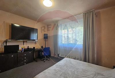 Casă cu 4 camere cu Teren 1371 Mp în Crivina - 14