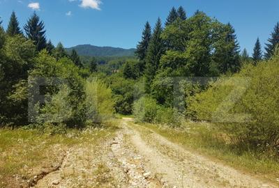 Teren de 1200 mp, în Central - 1