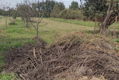 Casă cu 3 camere în Central