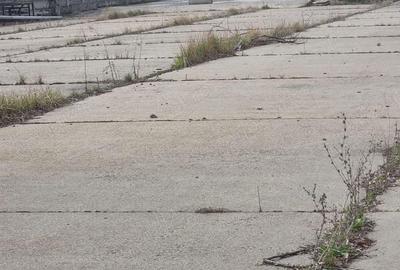 Depozit de vanzare sau inchiriere in Ploiesti - 13