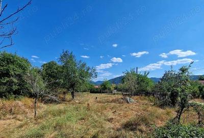 Teren de 1273 mp, în Berzasca