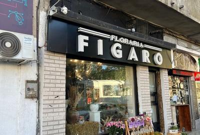 Spațiu comercial, de 36 mp, în Pache Protopopescu - 1