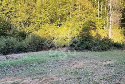 Teren pentru casa de vacanta pe Valea Bratcutei, Bihor - 3