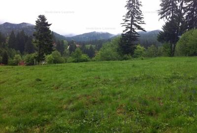 Teren intravilan Cotul Donului,pretabil Hotel/pensiune. - 6