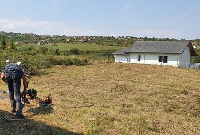 Spațiu comercial, în Daia - 3