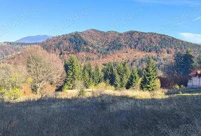 Teren în Central - 5