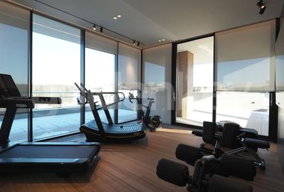 Penthouse cu 5 camere decomandat, mobilat în Băneasa - 9