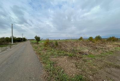 Darvari Ciorogarla Str Tineretului 2 loturi 500 mp zona in dezvoltare - 9