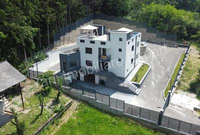 Proprietate de excep?ie de vanzare in Curtea de Arge?. - 12