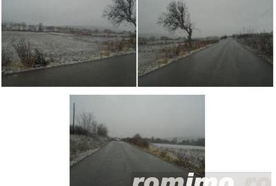 Teren Extravilan Corbita, ID: R1966413 - 2