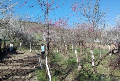 Casă cu 3 camere în Vintere - 5