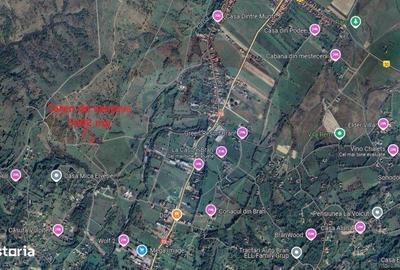 Spațiu comercial, în Predeluț - 2