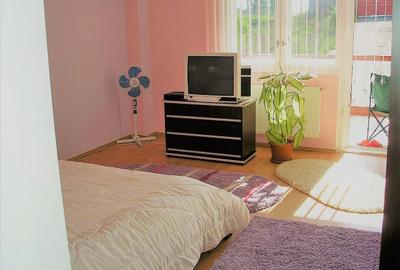 Apartament cu 3 camere decomandat în Gruia - 3