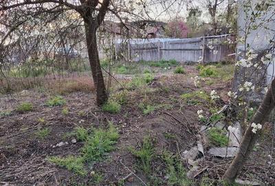 Casă cu 2 camere cu Teren 550 Mp în Bozovici - 6