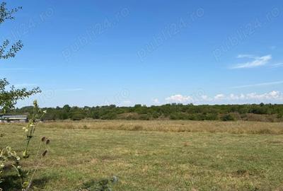 Teren de 7500 mp, în Băicoi - 4