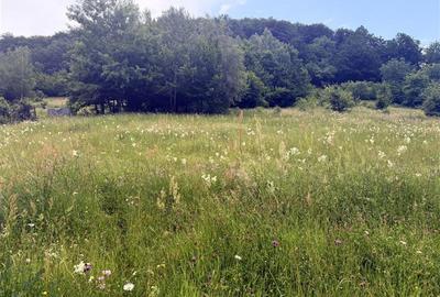 Teren intravilan de 1762 mp, în Someșu Rece - 7