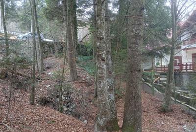 Spațiu comercial, în Central - 5