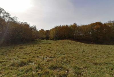 Teren agricol extravilan de 13000 mp, în Sohodol