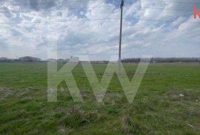 Teren Construcții intravilan de 1000 mp, în Cârcea - 4