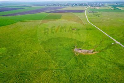 Teren agricol extravilan de 50000 mp, în Est - 12