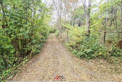 Casă cu Teren 14340 Mp în Breaza - 4