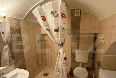 Apartament 2 camere, curte, ultracentral, 42MP - 3