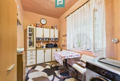 Casă cu 3 camere cu Teren 2571 Mp în Iratoșu - 11
