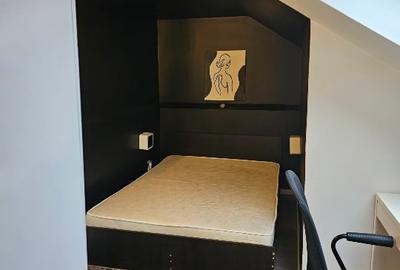 Apartament 1 camera + mezanin in vila zona FSEGA / Iulius Mall - 5