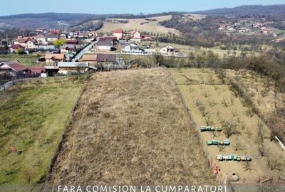 CAZANESTI, TEREN 3336mp - DESCHIDERE 27m - 1