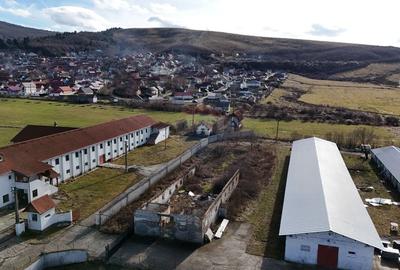 Teren de 1729 mp, în Teliu - 10