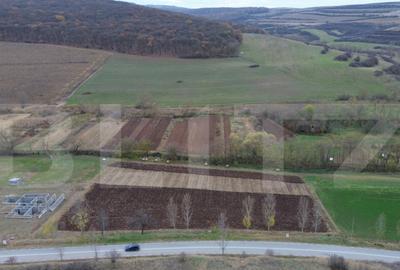 Teren intravilan cu proiect de casa 2600, zona Hapria - 15