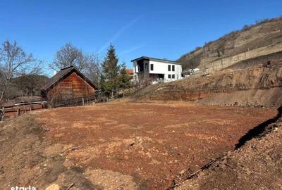 Spațiu comercial, în Luna