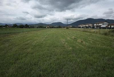 Teren 5630 MP- Zona Rezidentiala - Aeroport - Maramures - 1