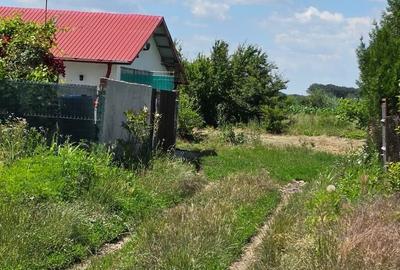 Casă individuală cu 4 camere cu Teren 500 Mp în Dascălu - 8