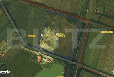 Teren de 36200 mp, în Odoreu