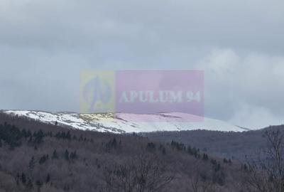 Teren Construcții intravilan de 2220 mp, în Valea Doftanei - 7