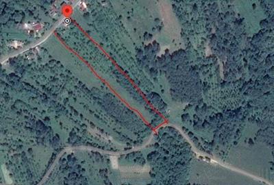 Casa de vanzare! - 7