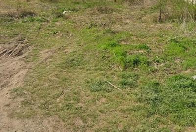 Teren de 500 mp, în Frumușani - 3