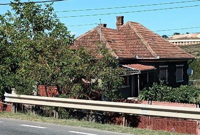 Casă cu Teren 2500 Mp în Mihăiești - 3