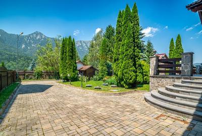 Casă cu 7 camere cu Teren 502 Mp în Piatra Arsă - 13